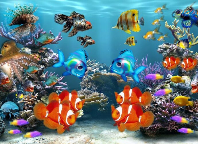 Wie viele Fische im Aquarium